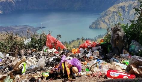 Destinasi Adventure yang Populer di Indonesia Tips Membersihkan Sampah di Gunung Rinjani